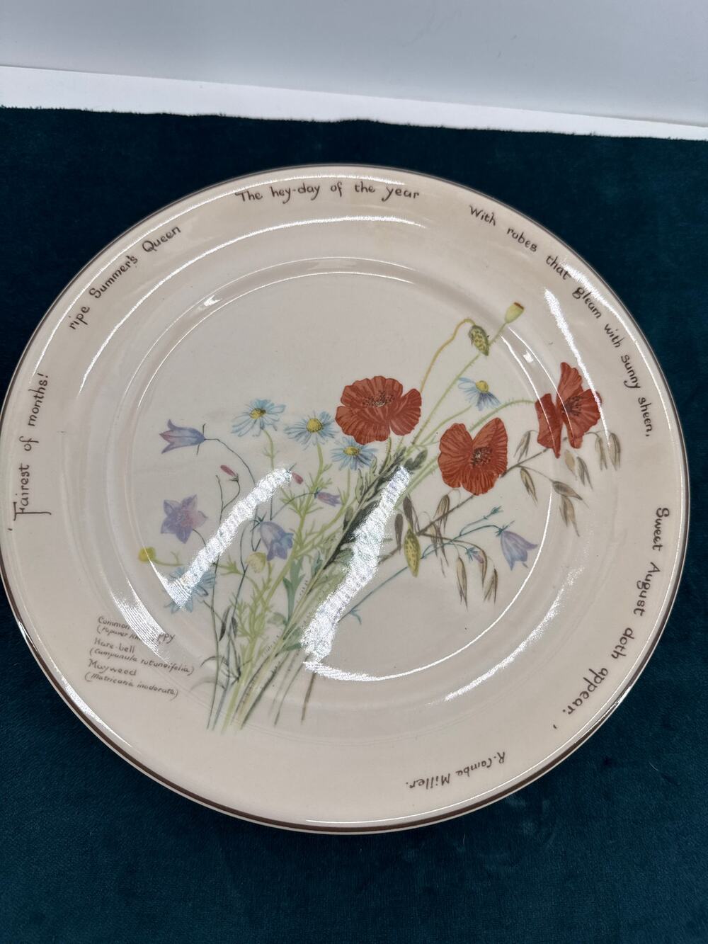 Noritake Country Diary Wildflower Poppy Dinner Plates Set 6 Vintage Ireland 10"